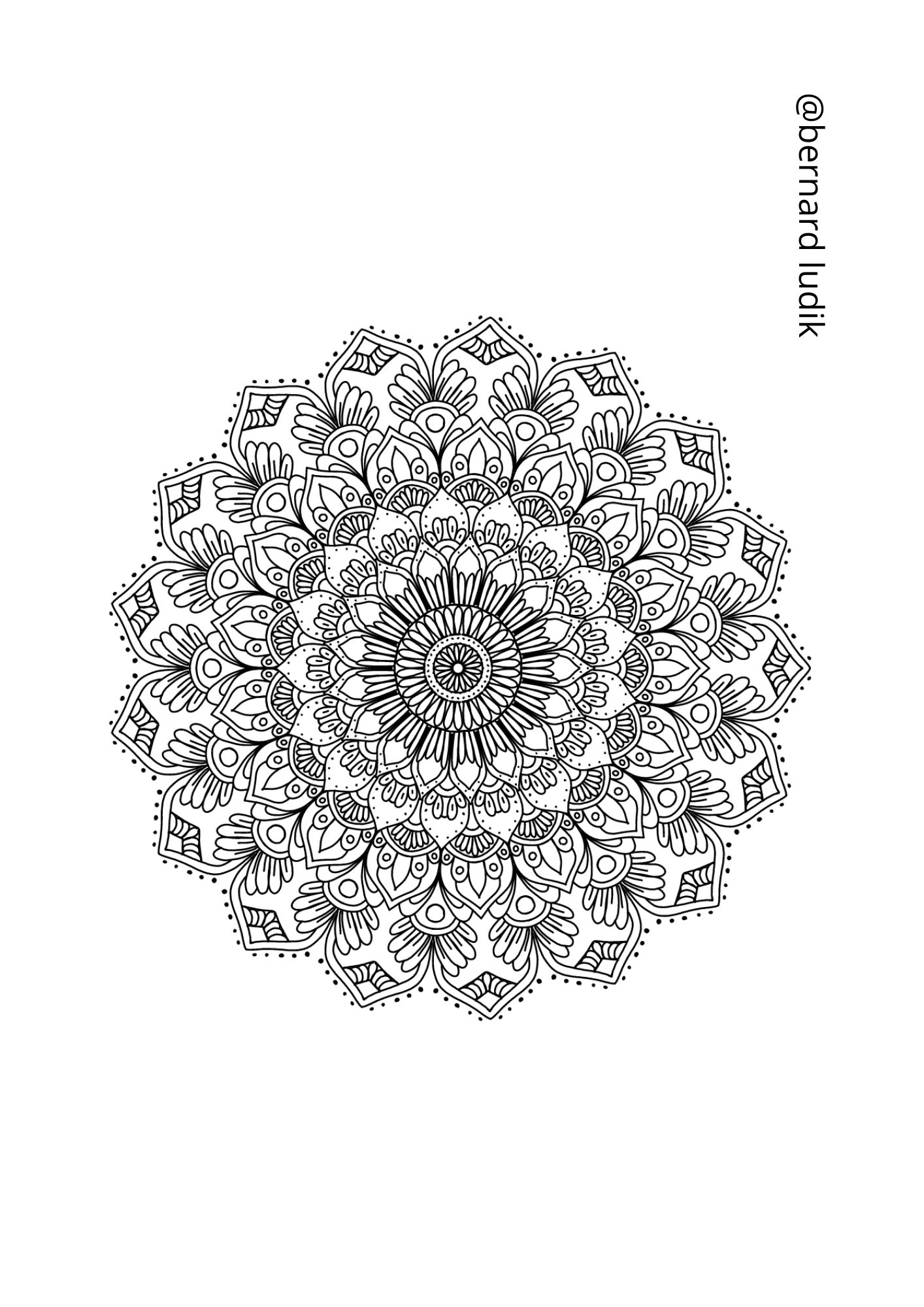 mandala202