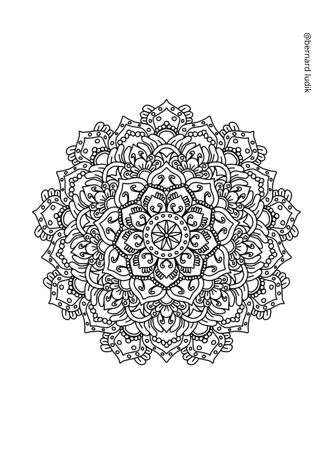 mandala204