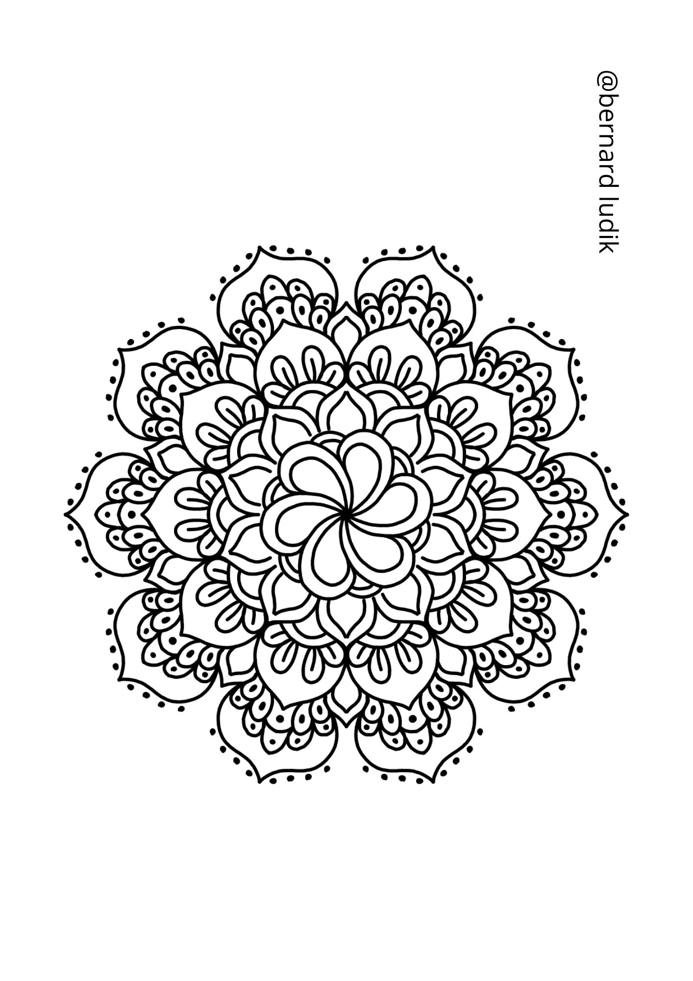 mandala208
