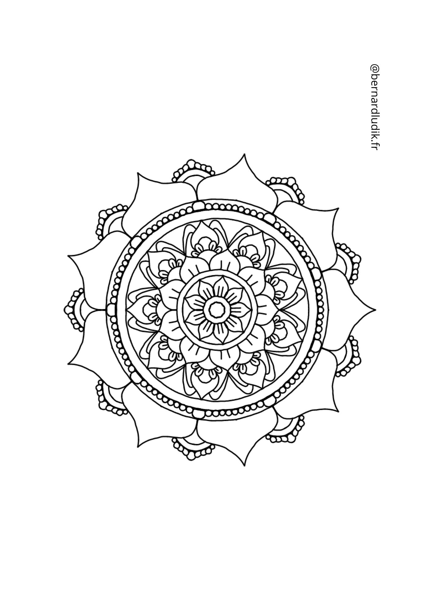 mandala207