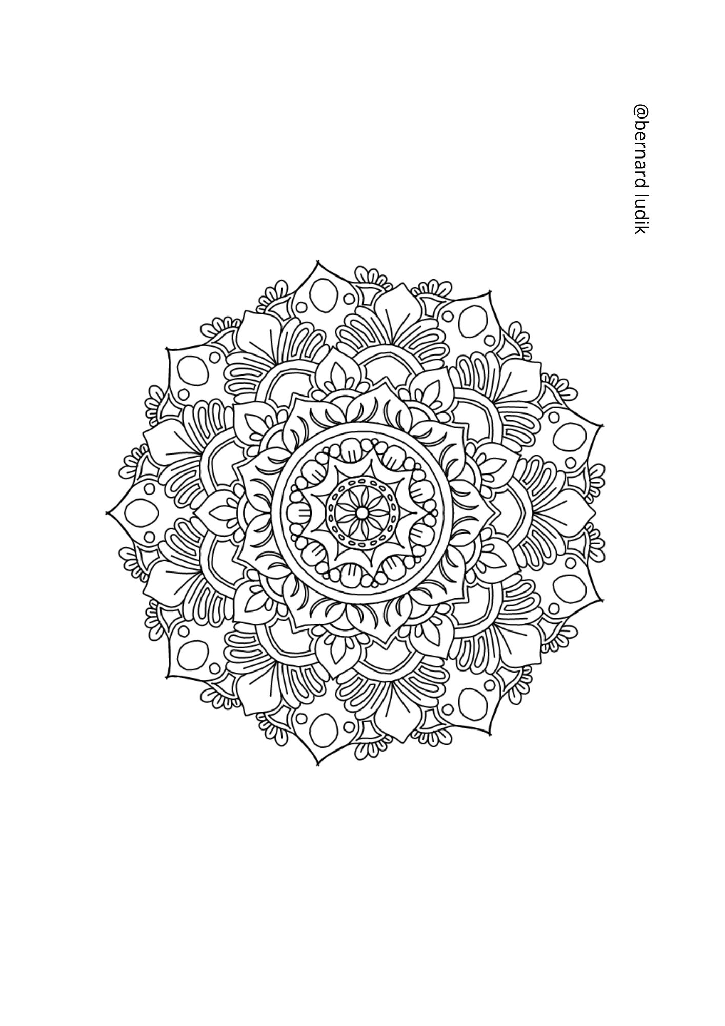 mandala208