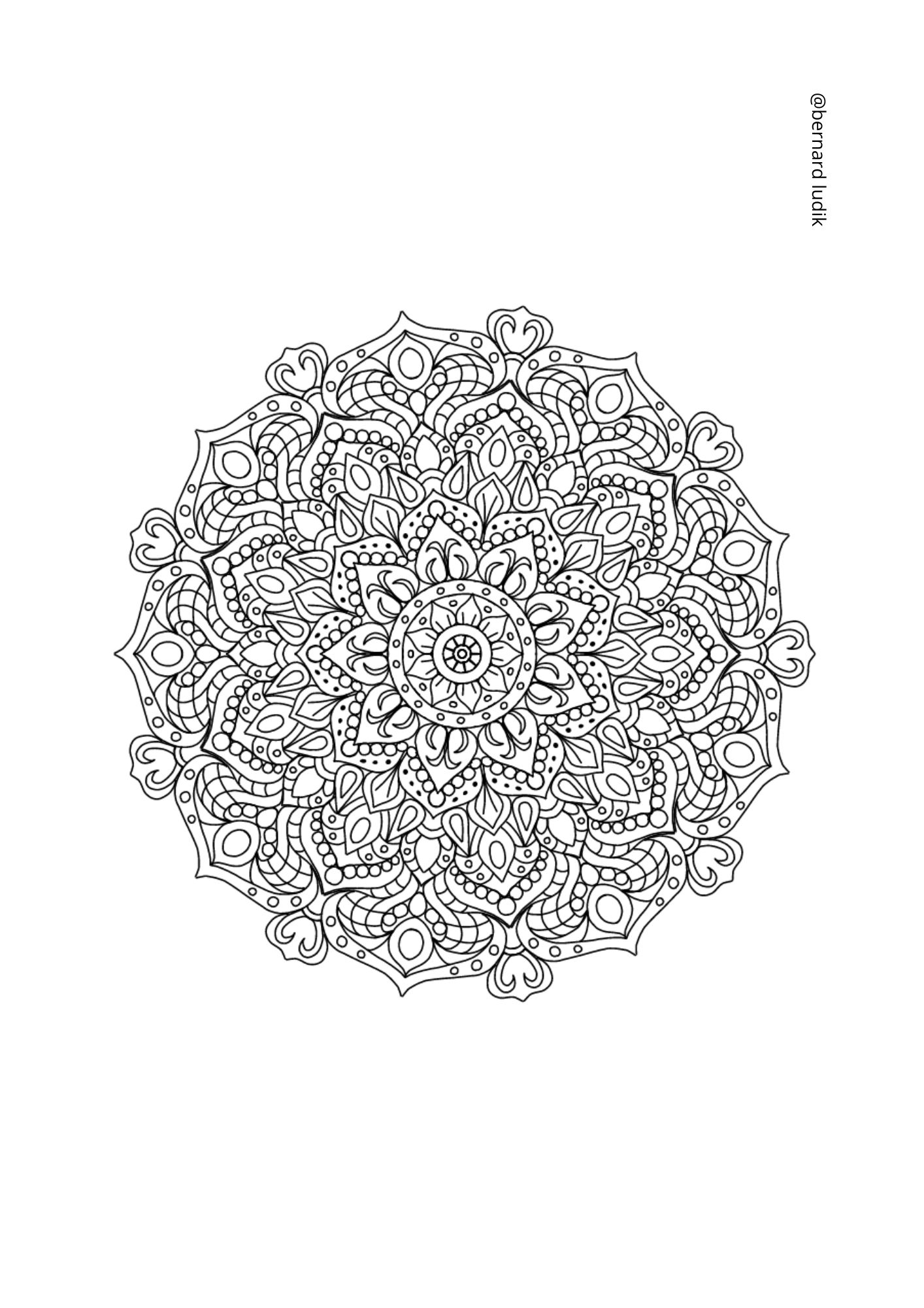 mandala222