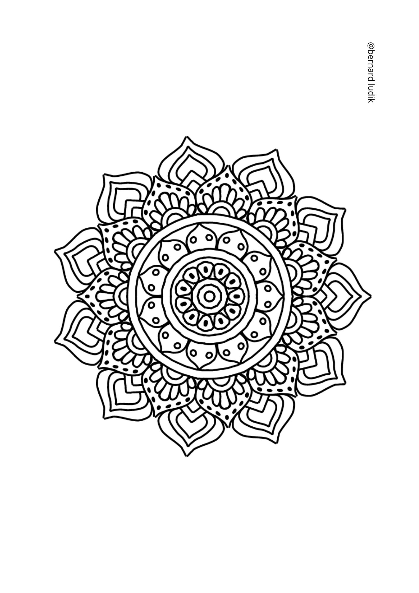 mandala223