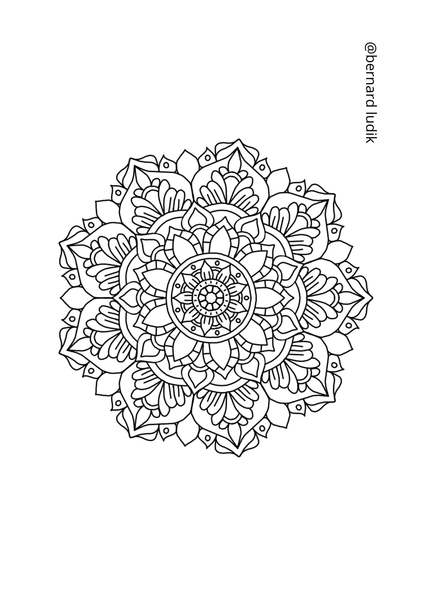 mandala229
