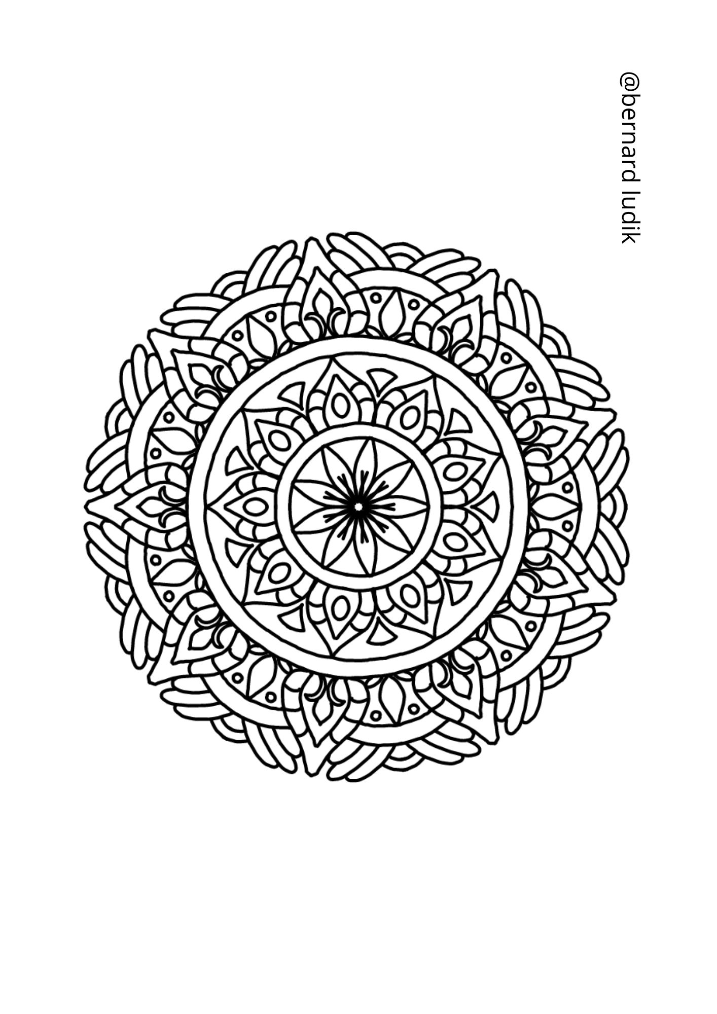 mandala231