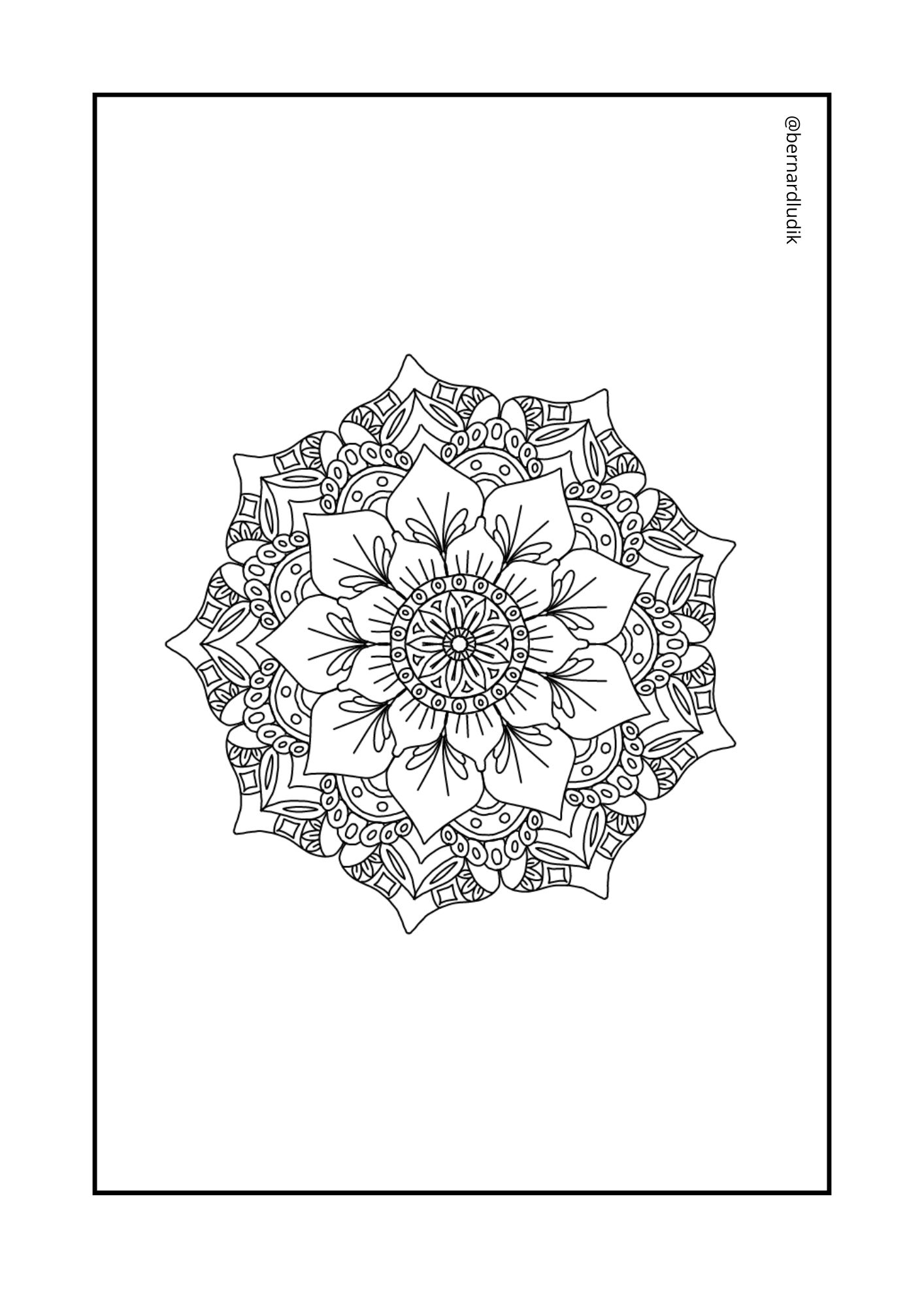 mandala232