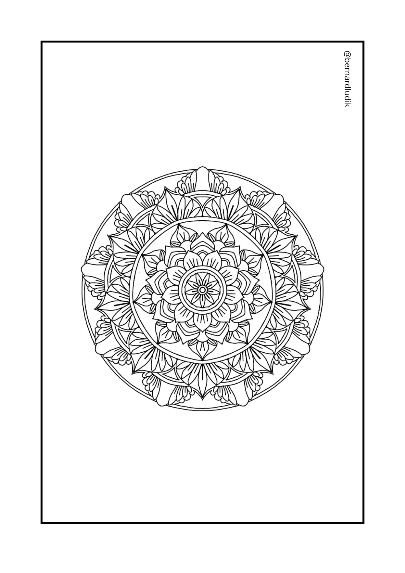 mandala233