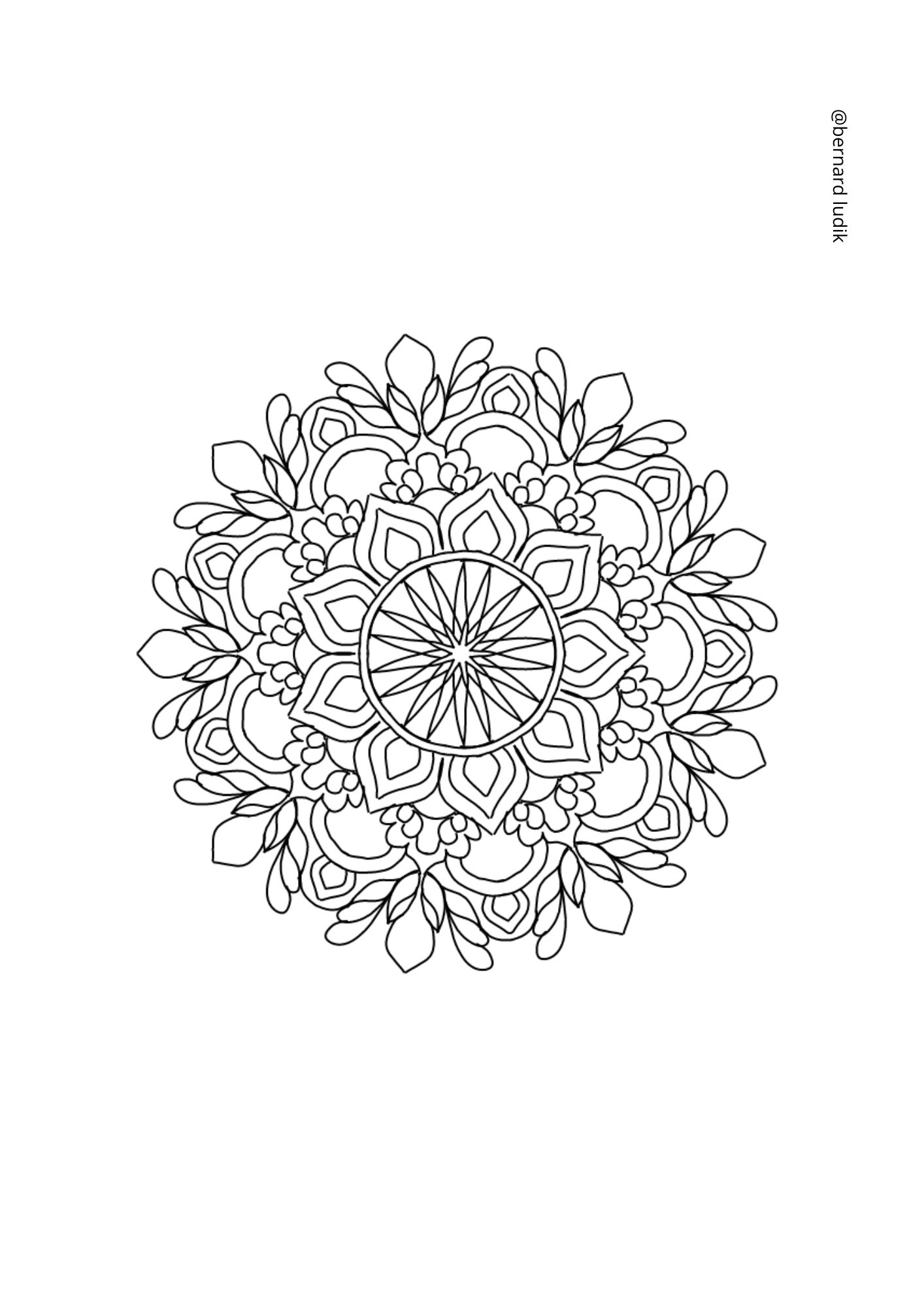 mandala263