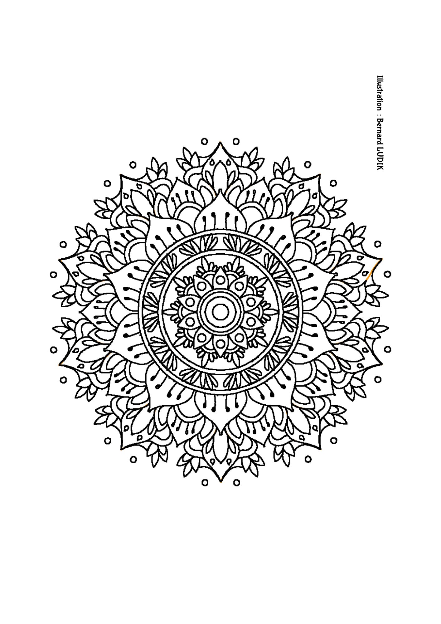 mandala49